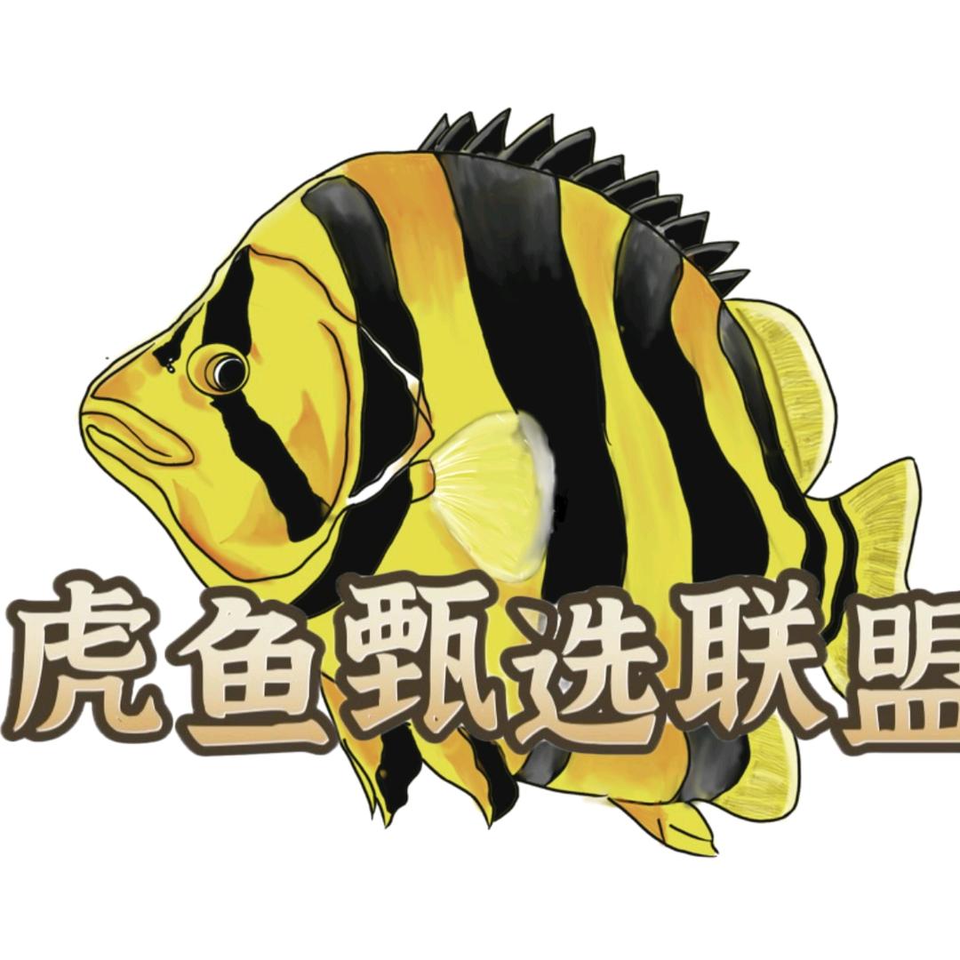 虎鱼甄选联盟