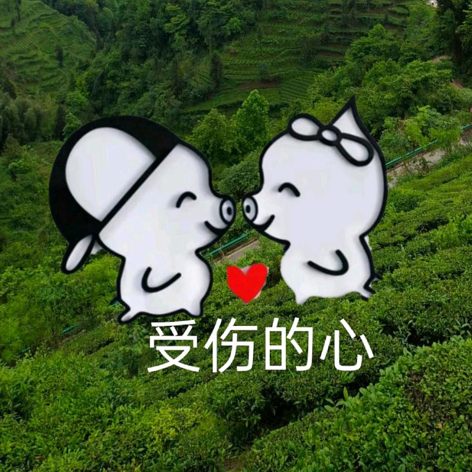 受伤的心