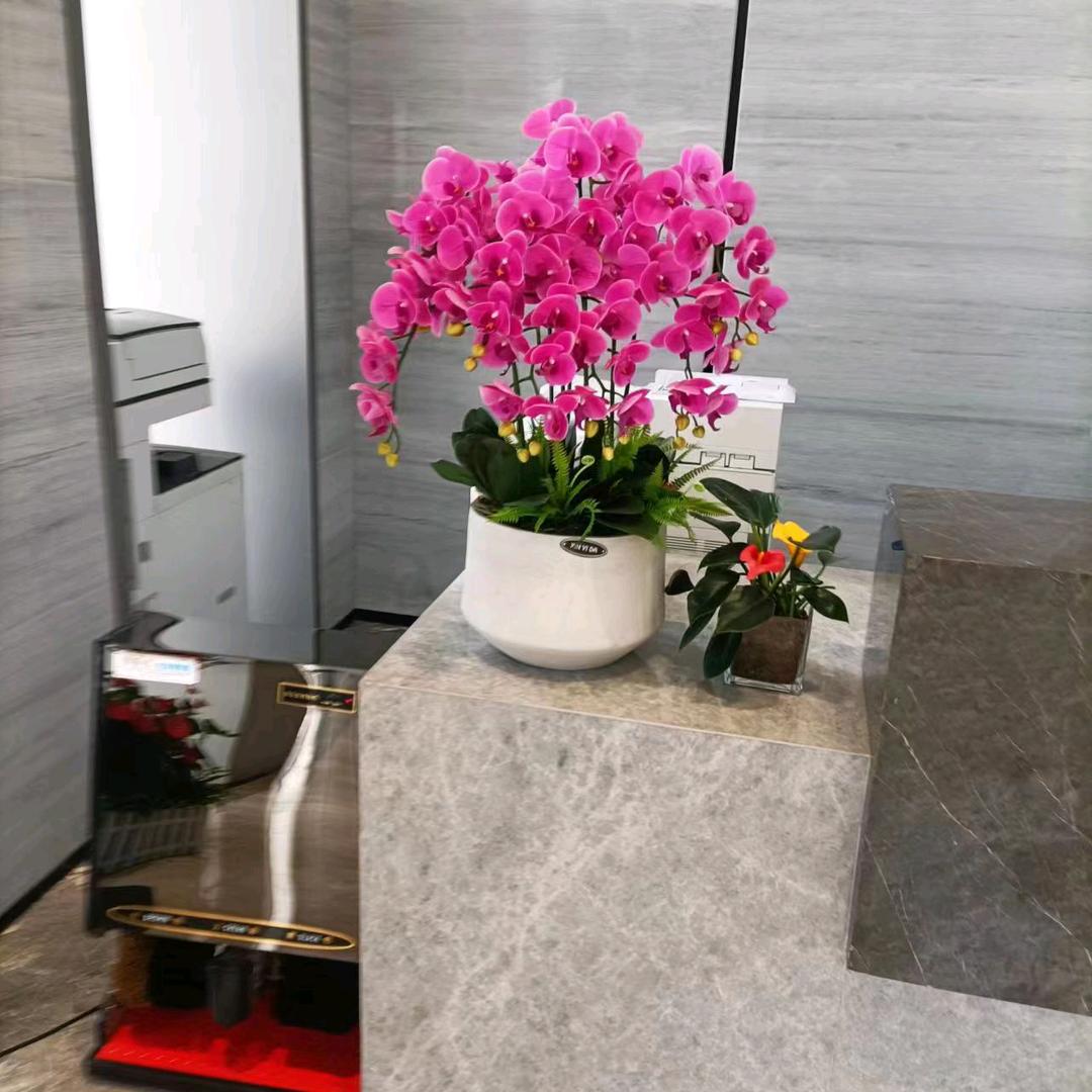 💫涅槃赤焰⁸⁸⁸