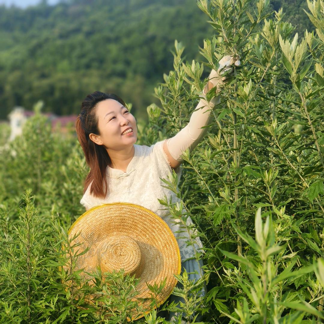 蕲阳艾大姐