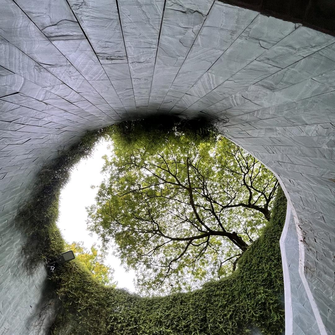 一切都是最好的安排-努力面前