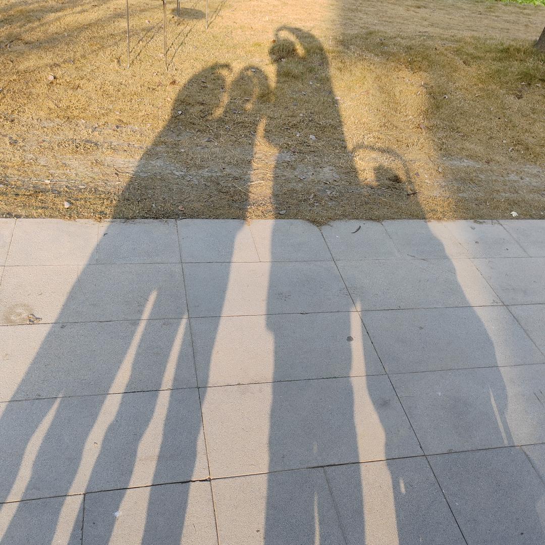 媛宝✨🈵满（多分享）