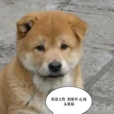 土味阿勇凤舞九天