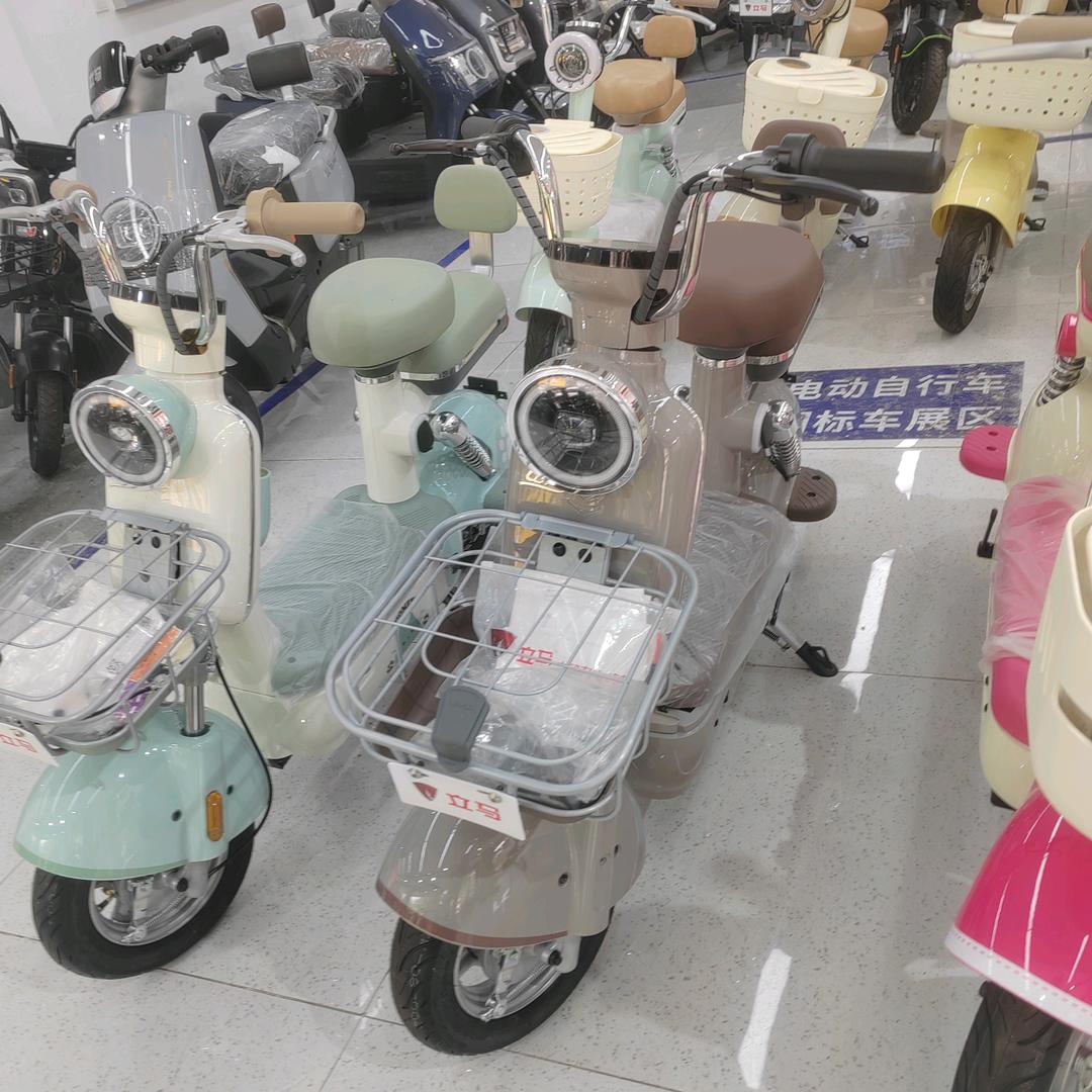 真爱一生、立马电动车