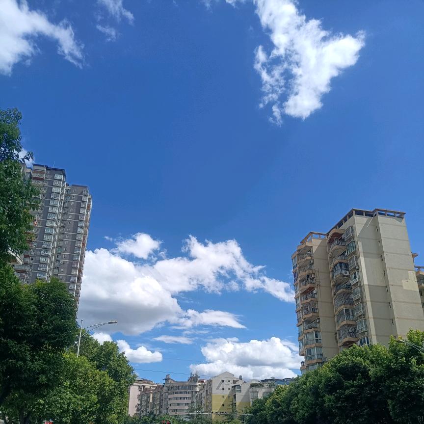 ᝰ胡立阳ᝰ