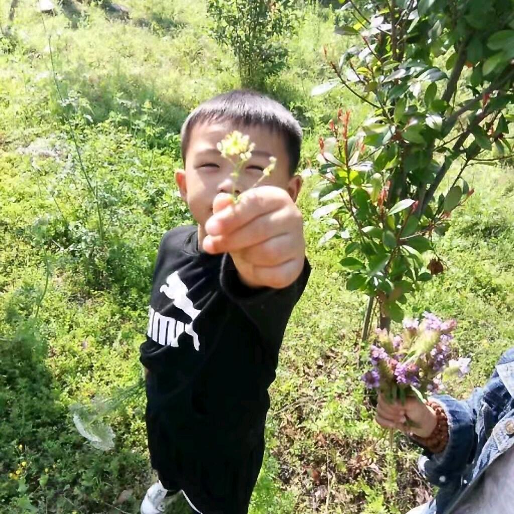 妖
