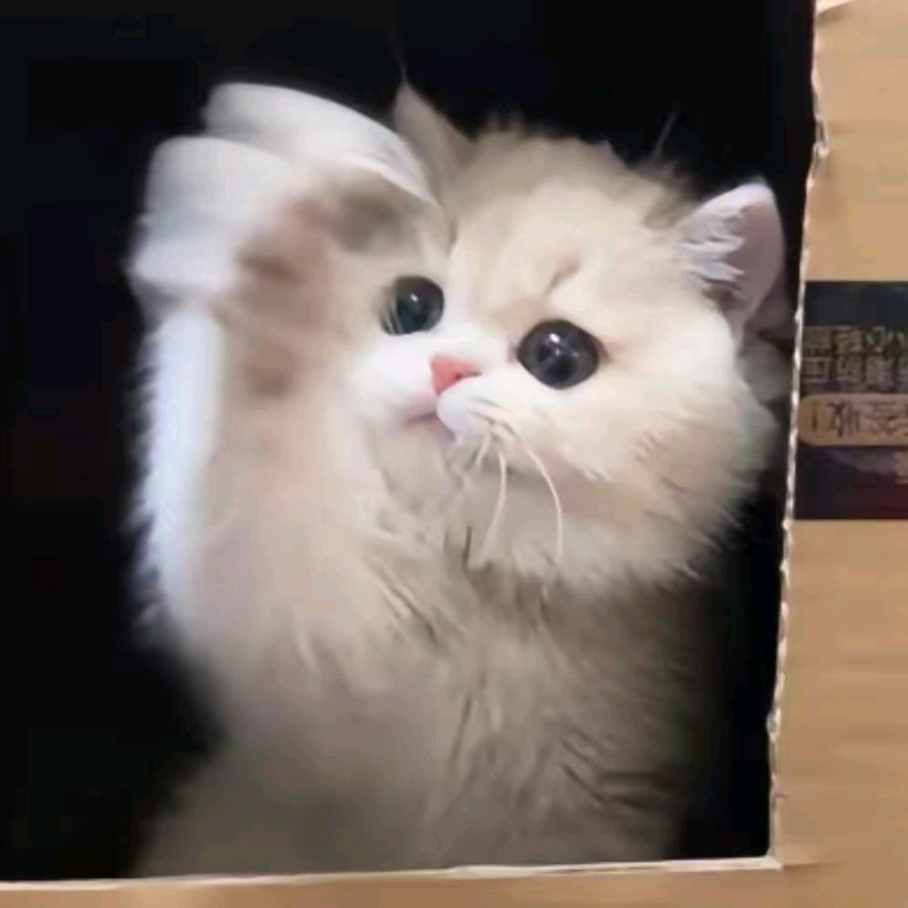 我只有一个甜