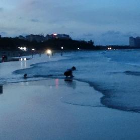 🌴🌊嘻哈嘻哈嘻哈哈🌊🌴