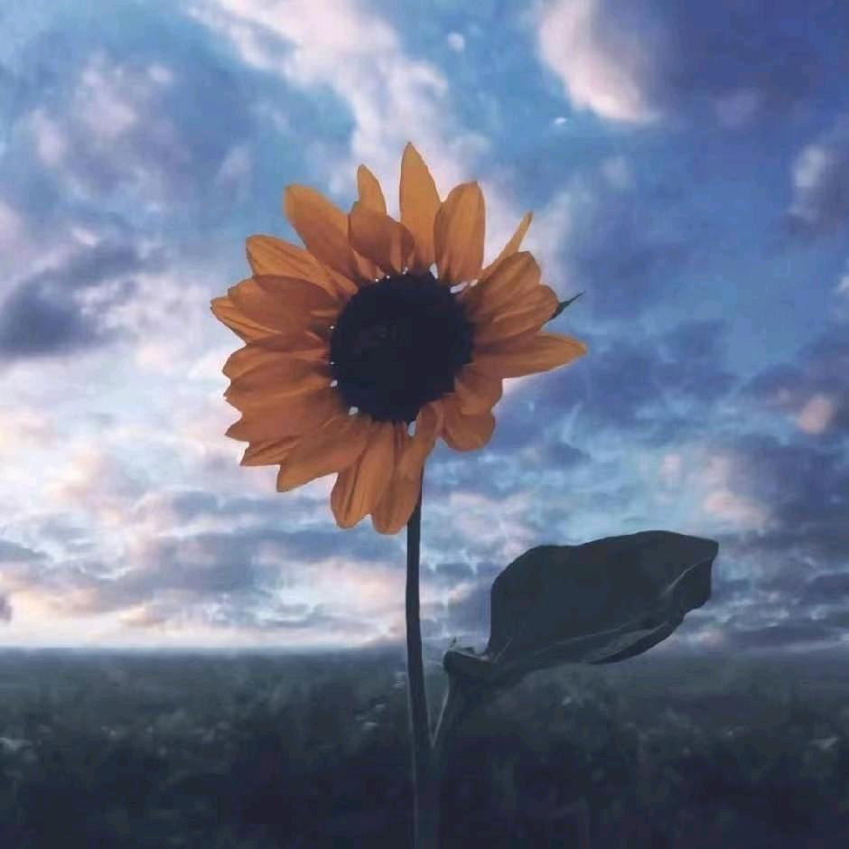 莹的手工艺品店