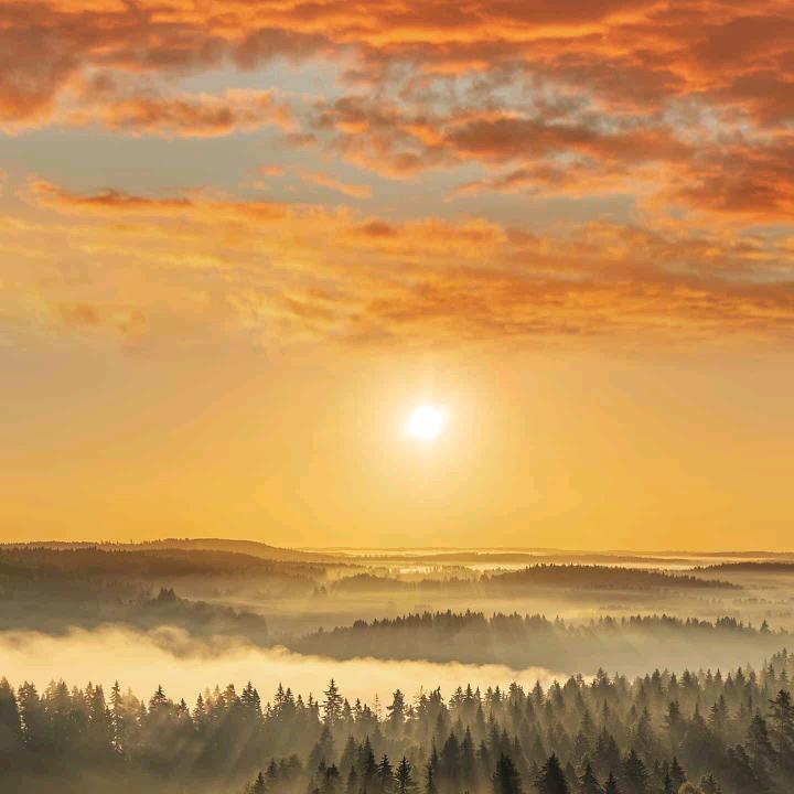 刘豪（过场多）