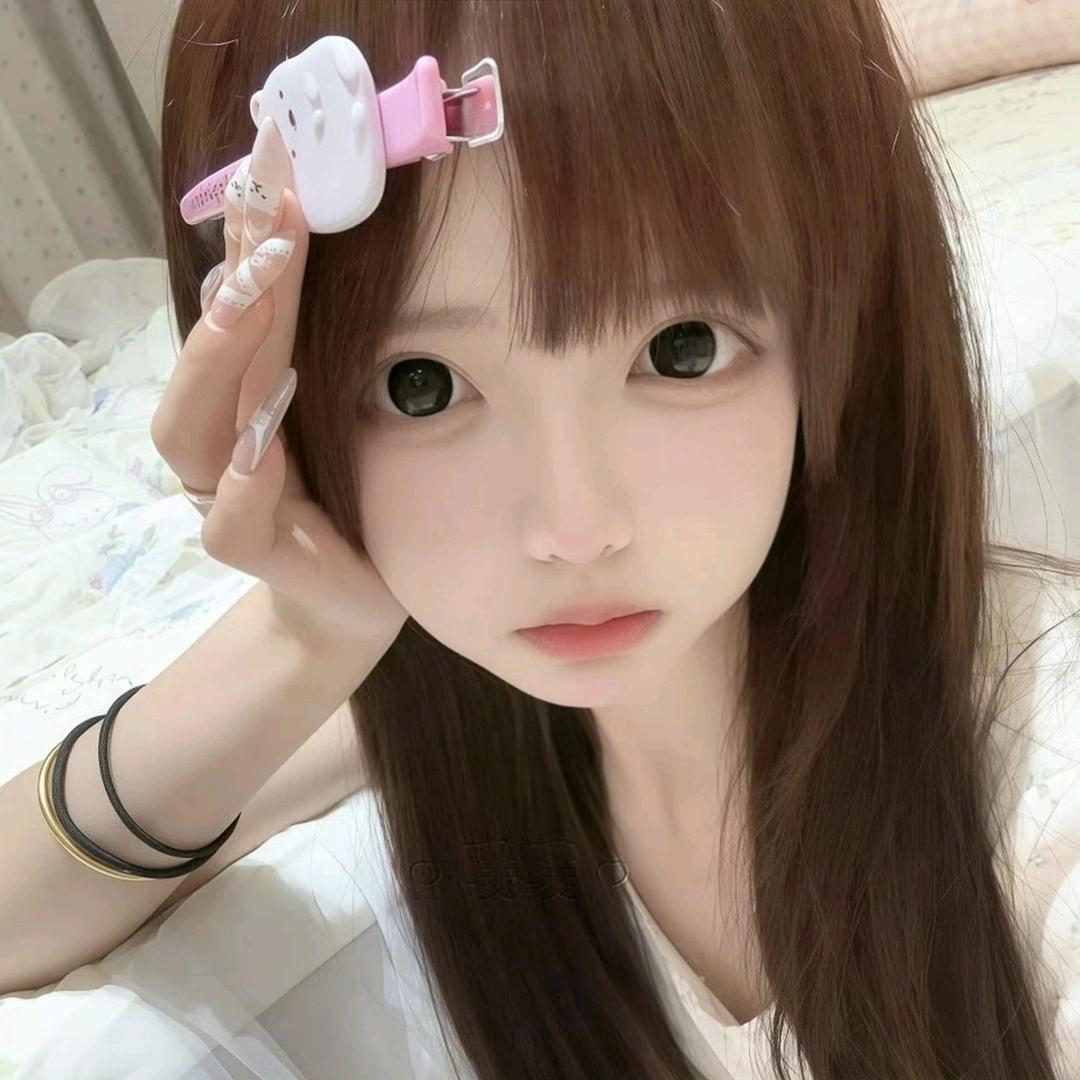 呆猫