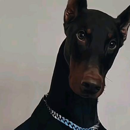 灵石涛子跟拍📸