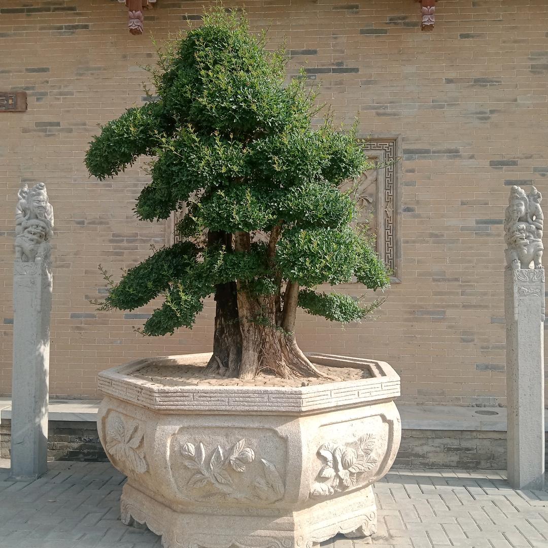 😘抖音用户😛