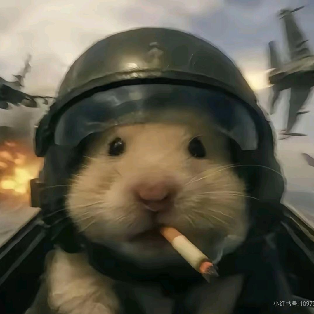 鼠皇（三角洲行动）