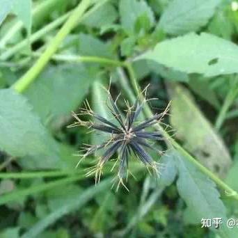 京康优选好物