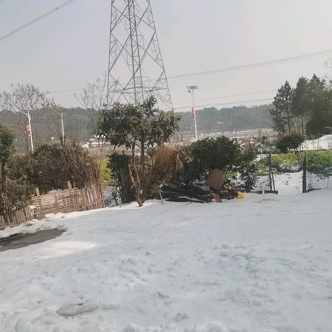 小哈喽