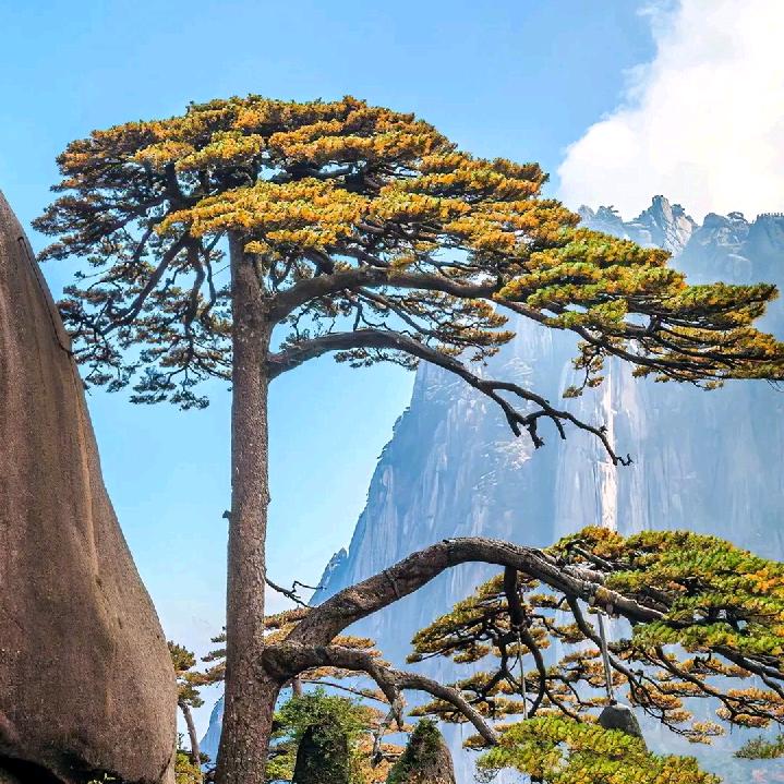 「风の生水起」