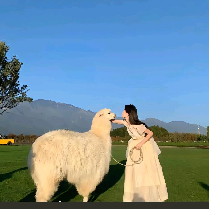 一橙姐姐