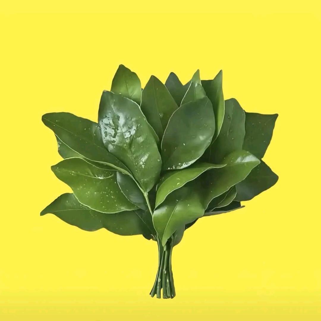 小花花 🌸🌈🌈