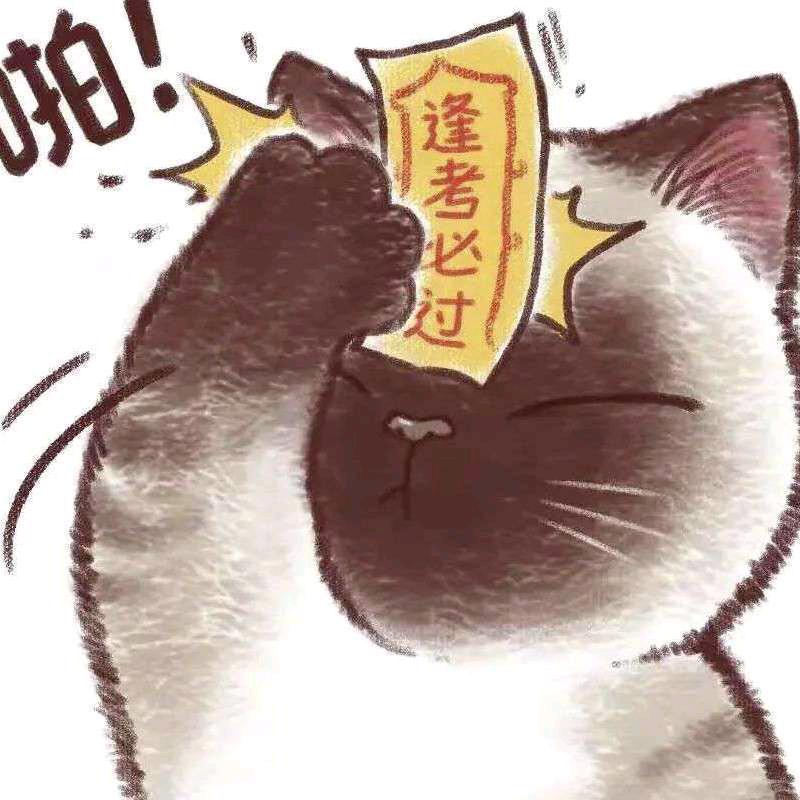 大猪小朱