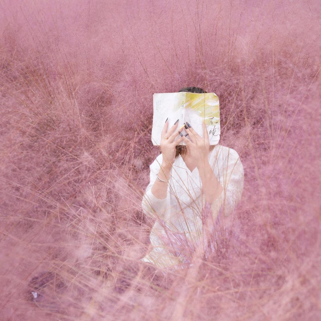 ╰✿つ、