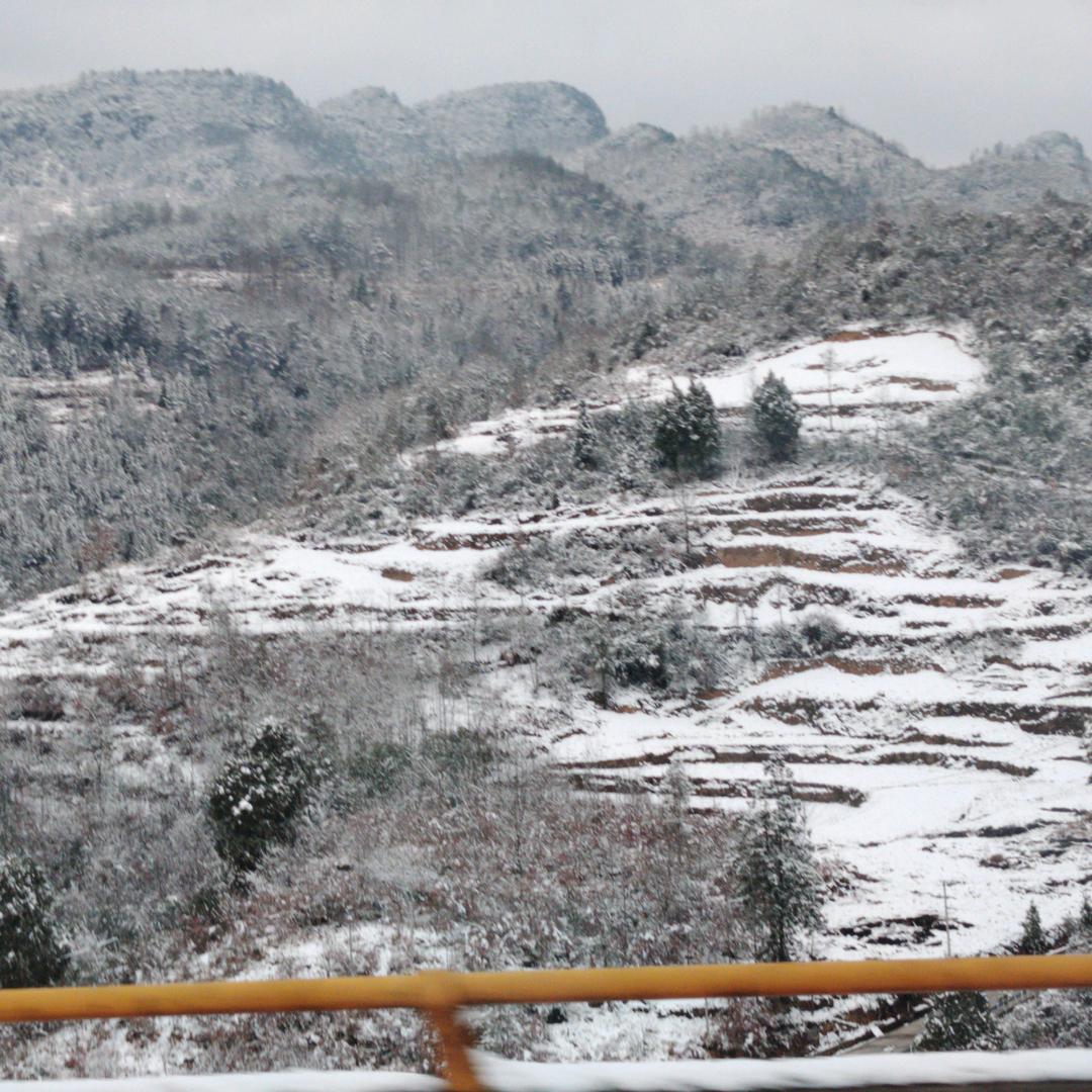 半身风雨半身伤