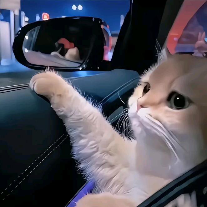 安徽淮庐文旅--亲子周游