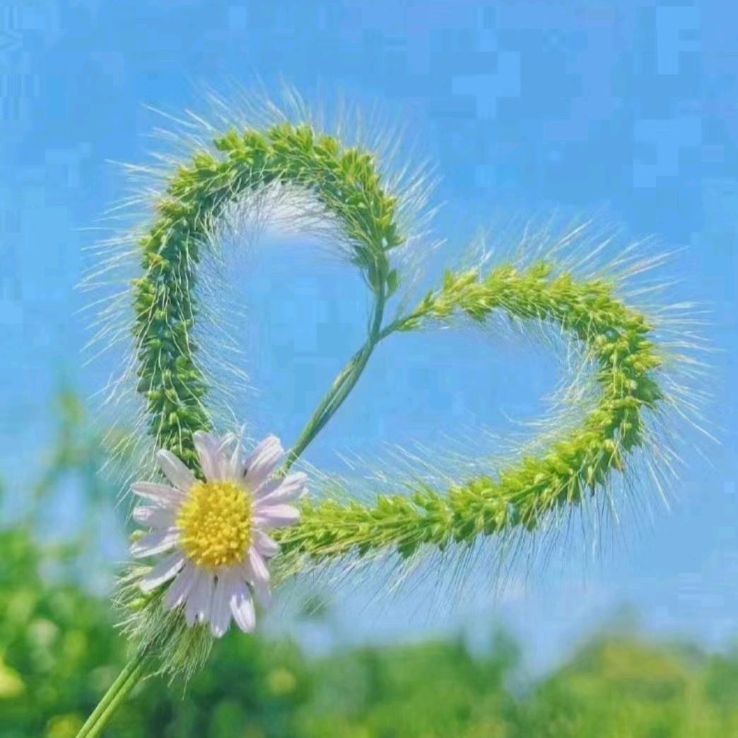 @好运来
