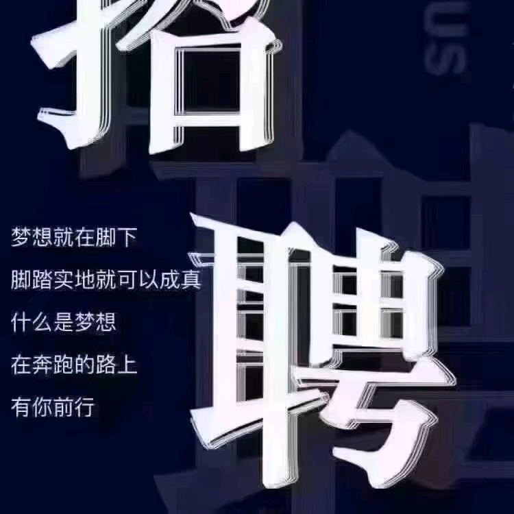 人力资源小齐