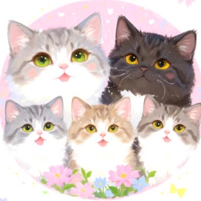 大头的头不大（🔝🎁）