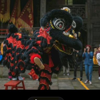 舞狮黑狮子