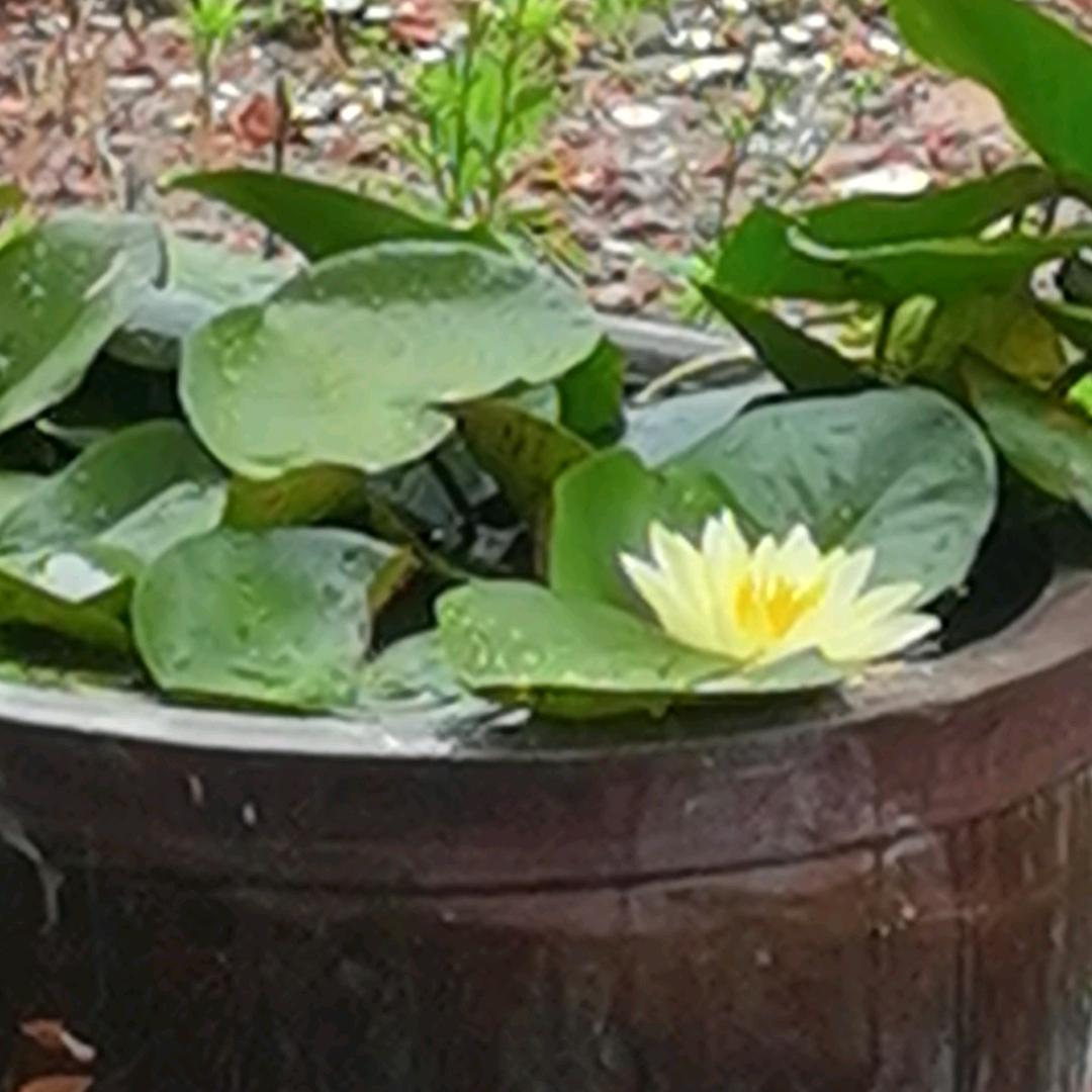 梓博建筑装饰设计🍎🍎❤️❤️