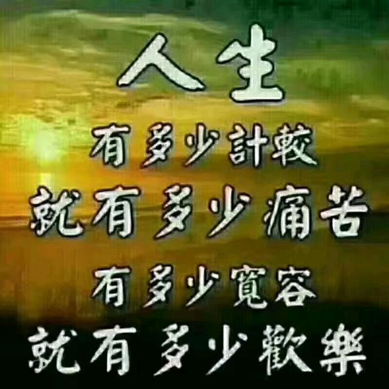 高质量～各品牌～厂价直销水泥