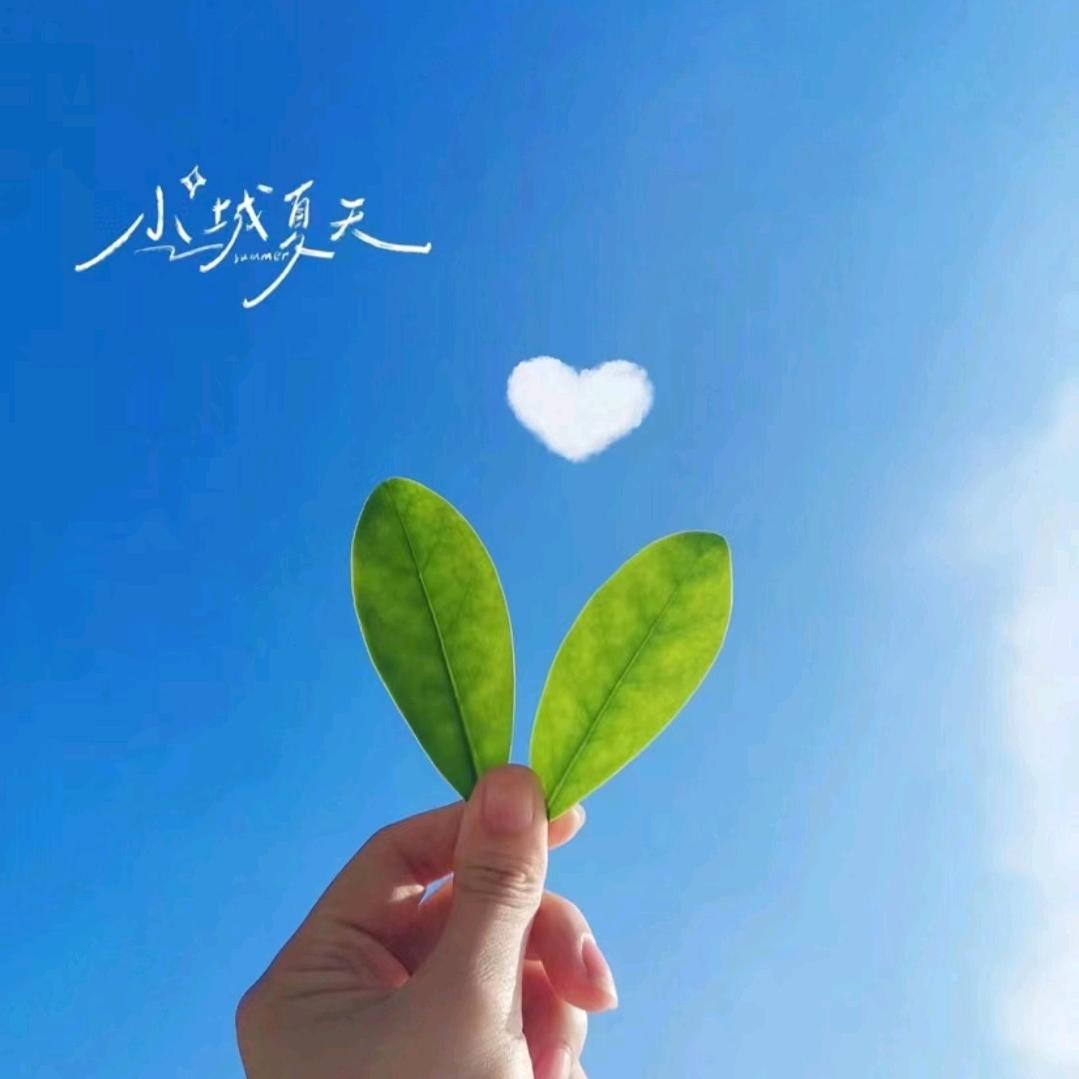 @追寻好物
