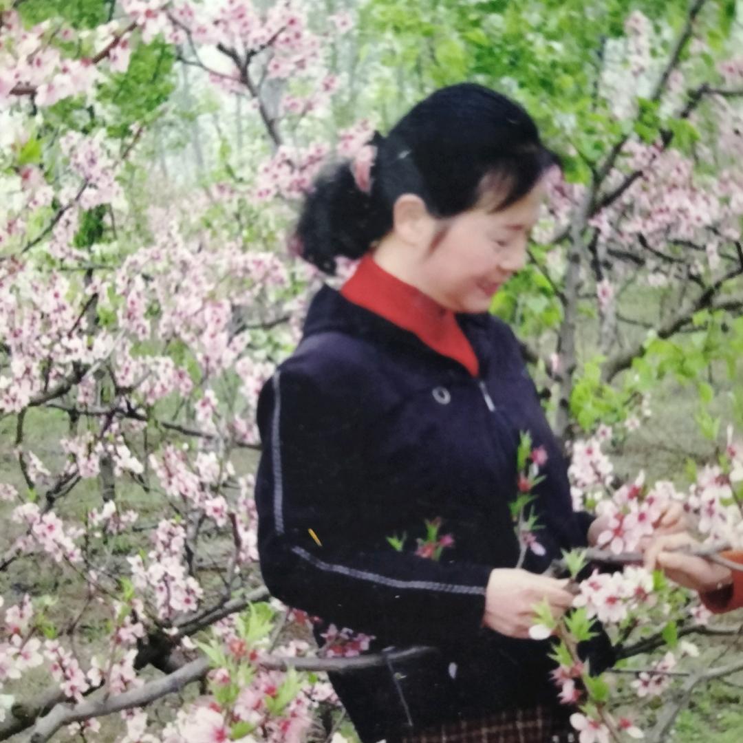 百荷
