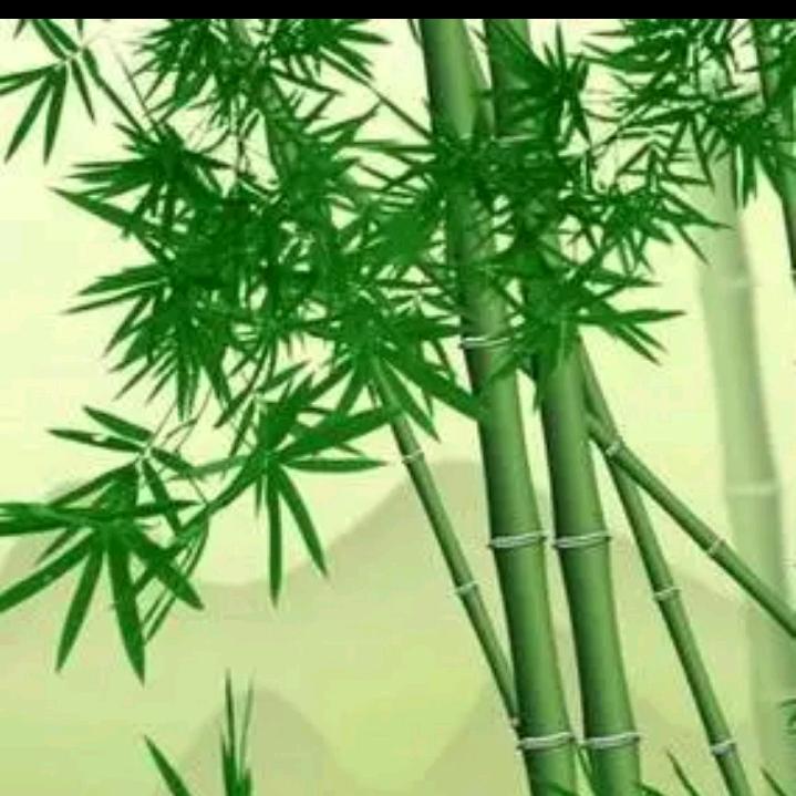 @小爷不好惹@