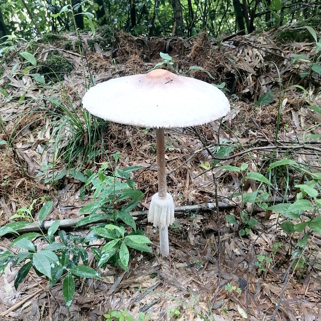 赵先生@