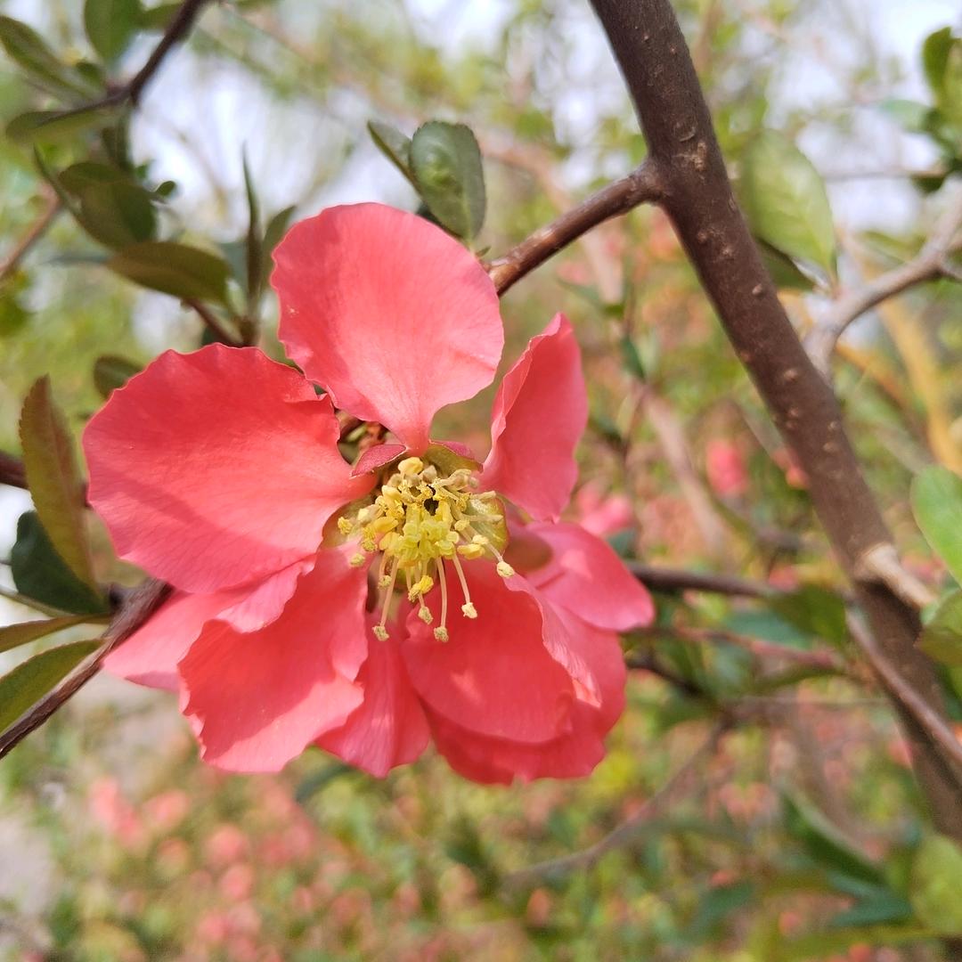 韩大姐衣服回收