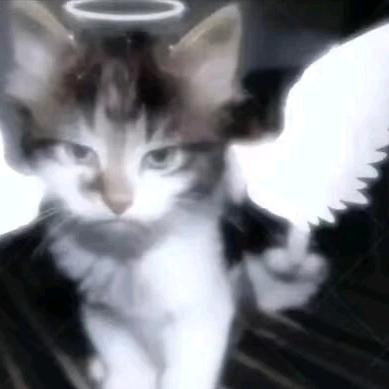 今天是睡不醒阳