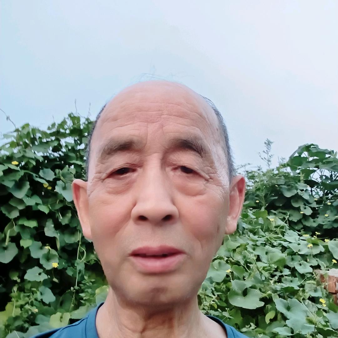 葛结林