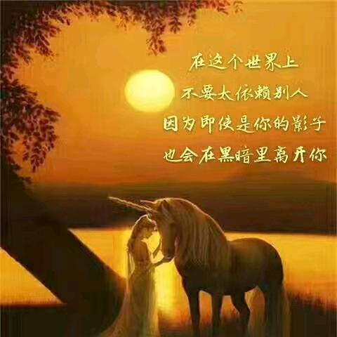 繁华似锦