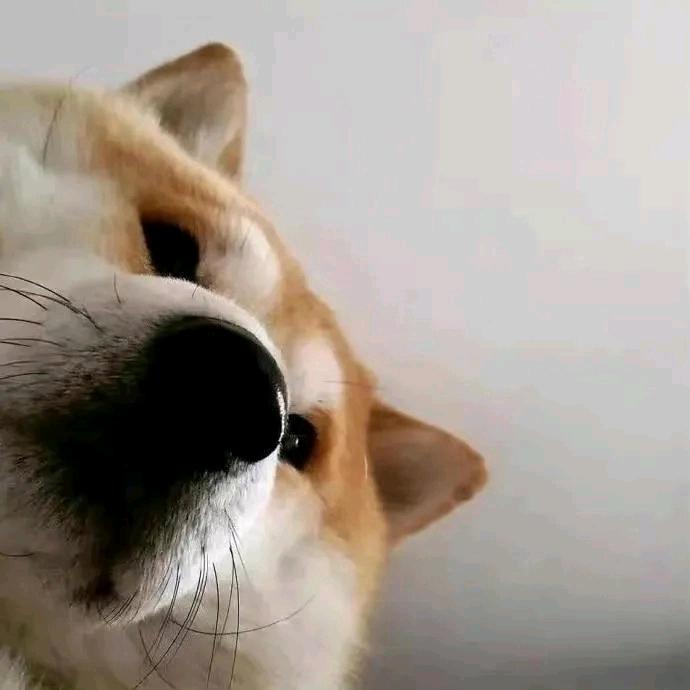 🌈让过往燃烧
