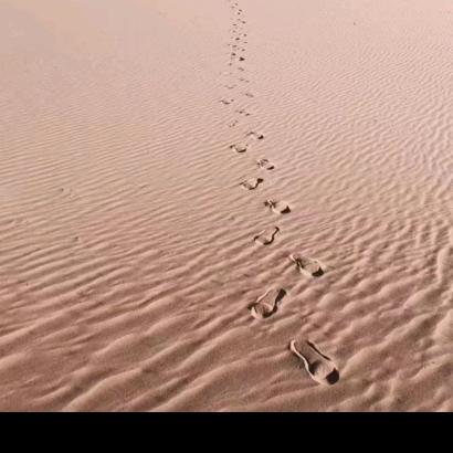 青衫落明