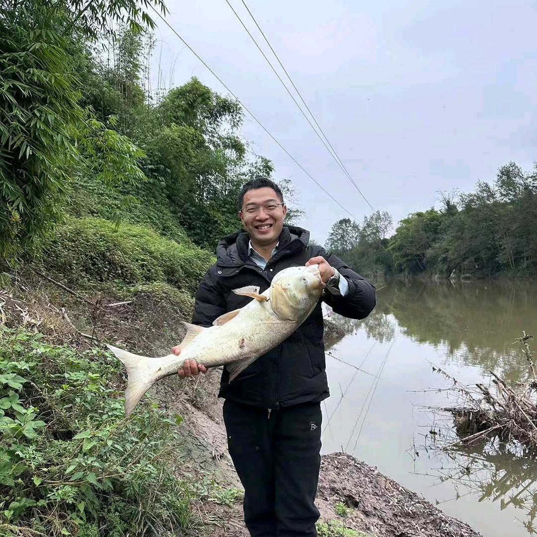 重庆卷王之王