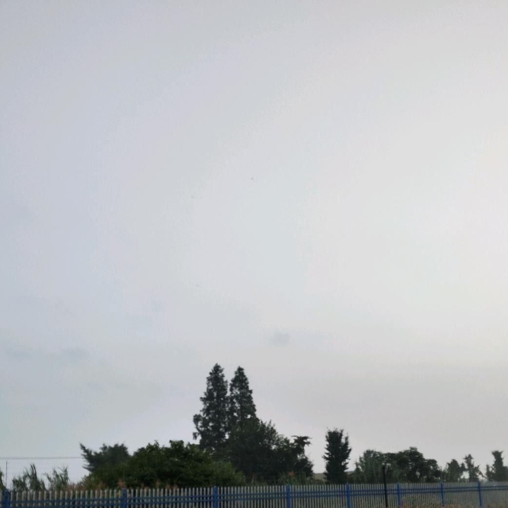 小鱼儿凯文