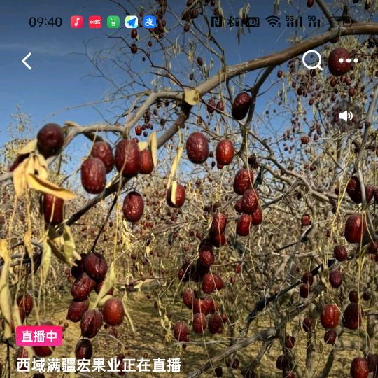 阿麦百货店