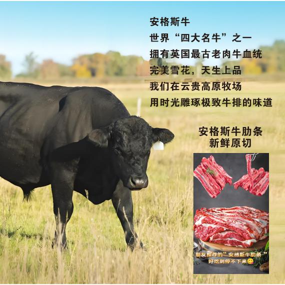 小葛甄选-水果-餐饮-食材-内蒙羊牛