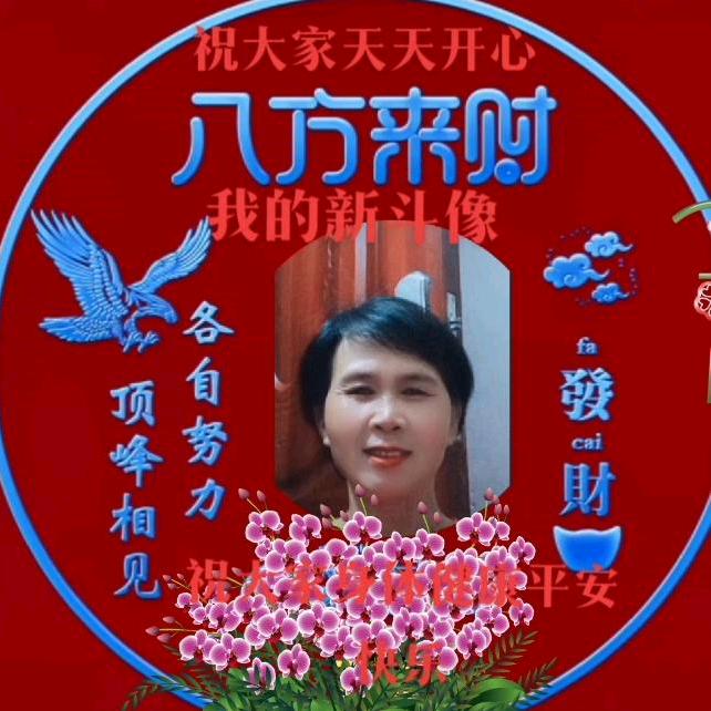梁进凤