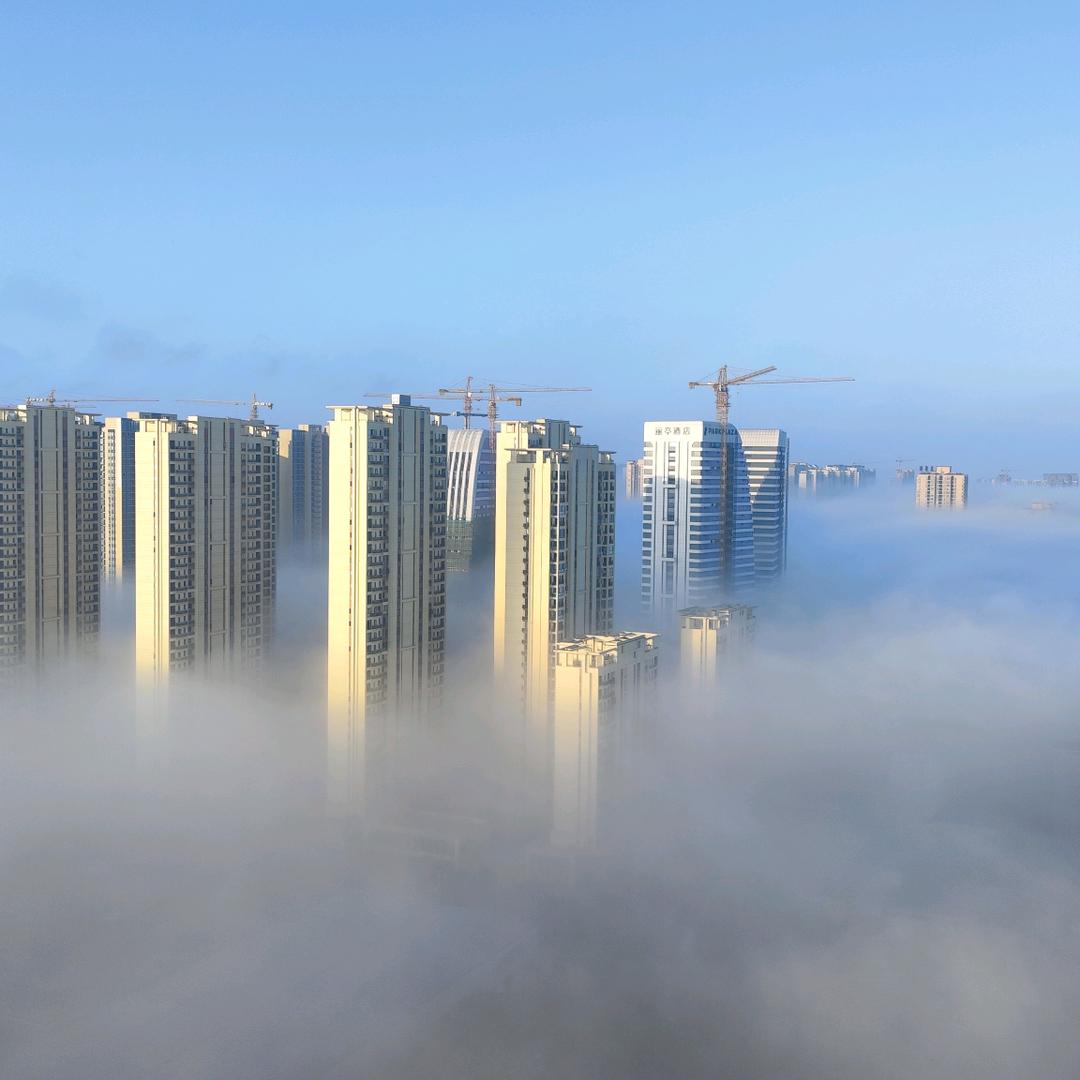 抖抖抖抖一抖