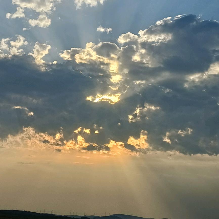 手机用户72578904481